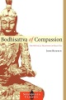 Bodhisattva_of_compassion