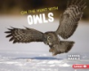 On_the_hunt_with_owls