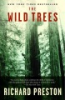 The_wild_trees