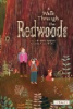 A_walk_through_the_redwoods