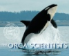 The_orca_scientists