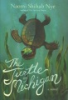 The_turtle_of_Michigan