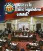 Qu___es_la_rama_legislativa_estatal_