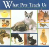 What_pets_teach_us