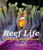 Reef_life
