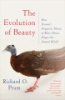The_evolution_of_beauty