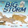 The_big_storm