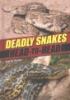 20_deadly_snakes