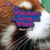 My_whiskers_are_long_and_white