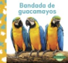 Bandada_de_guacamayos