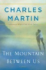 The_mountain_between_us