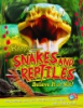 Snakes_and_reptiles