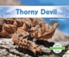Thorny_devil