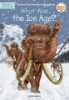 What_was_the_Ice_Age_