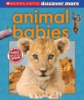 Animal_babies