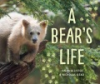 A_bear_s_life