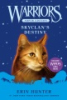 Skyclan_s_destiny