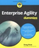 Enterprise_agility_for_dummies