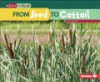 From_seed_to_cattail