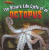 The_bizarre_life_cycle_of_an_octopus