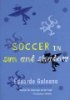 Soccer_in_sun_and_shadow