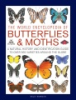 The_world_encyclopedia_of_butterflies___moths
