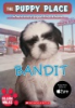 Bandit