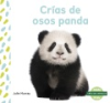 Cr__as_de_osos_panda