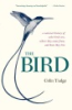 The_bird