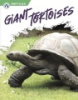 Giant_tortoises