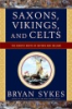 Saxons__vikings__and_celts