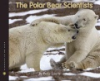 The_Polar_Bear_Scientists__Sitf_