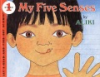 My_five_senses