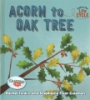 Acorn_to_oak_tree
