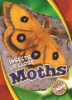 Moths