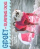 Gidget_the_surfing_dog