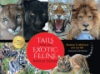 Tails_from_the_Exotic_Feline_Rescue_Center