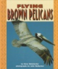 Flying_brown_pelicans