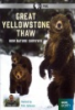 Great_Yellowstone_thaw