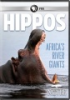 Hippos