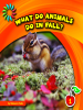 What_Do_Animals_Do_in_Fall_