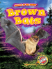 Brown_Bats