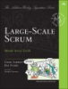 Large-scale_scrum