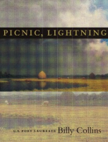 Picnic__lightning