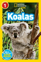 Koalas