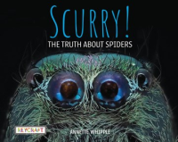 Scurry_