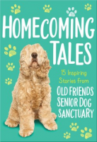 Homecoming_tales