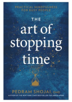 The_art_of_stopping_time