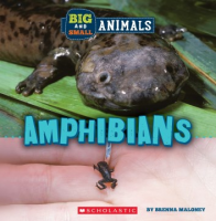 Amphibians