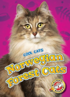 Norwegian_forest_cats